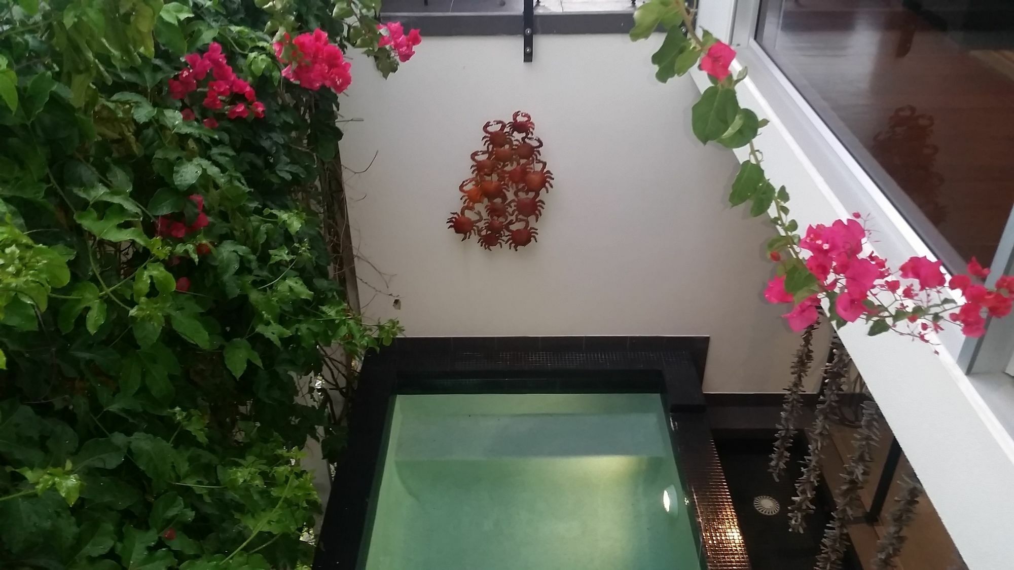 Sunrise Cove Holiday Apartments By Kingscliff Accommodation 외부 사진